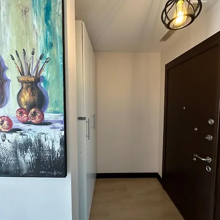 Stylish Flat-eagle Eye For İstanbul